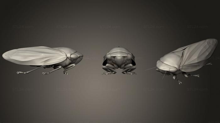 Insects (Insect beetles 62, INSCT_0049) 3D models for cnc